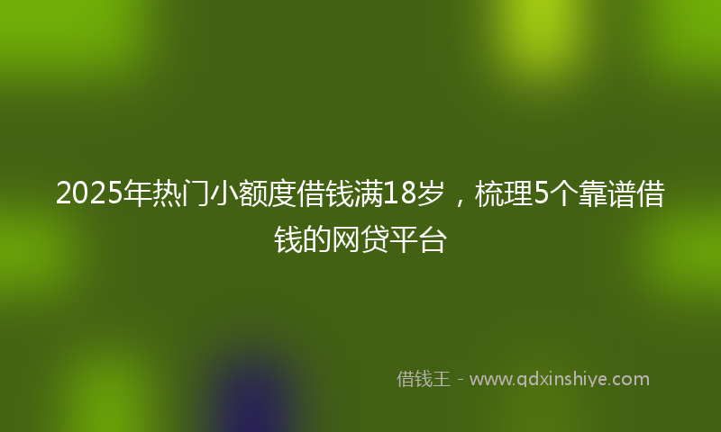 2025年热门小额度借钱满18岁，梳理5个靠谱借钱的网贷平台