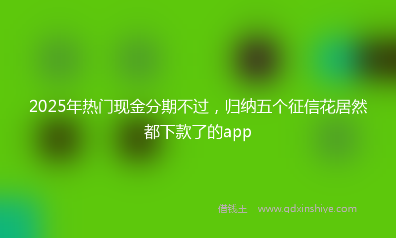 2025年热门现金分期不过，归纳五个征信花居然都下款了的app