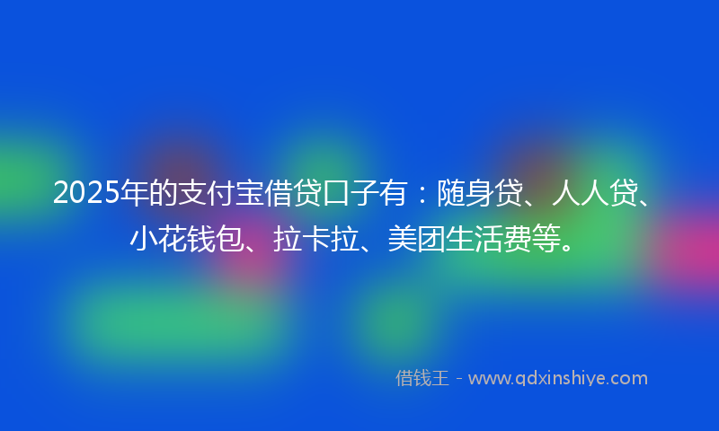 2025年的支付宝借贷口子有：随身贷、人人贷、小花钱包、拉卡拉、美团生活费等。
