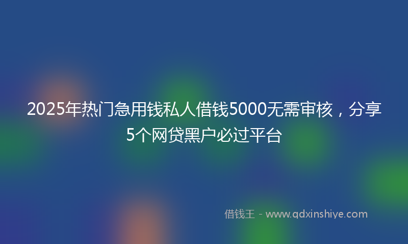 2025年热门急用钱私人借钱5000无需审核，分享5个网贷黑户必过平台