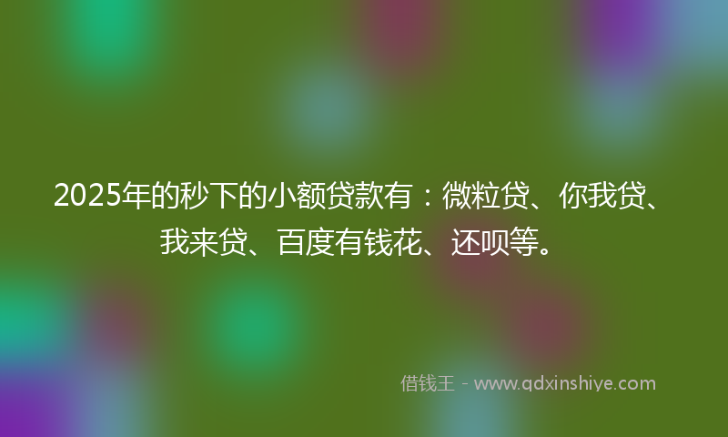 2025年的秒下的小额贷款有：微粒贷、你我贷、我来贷、百度有钱花、还呗等。