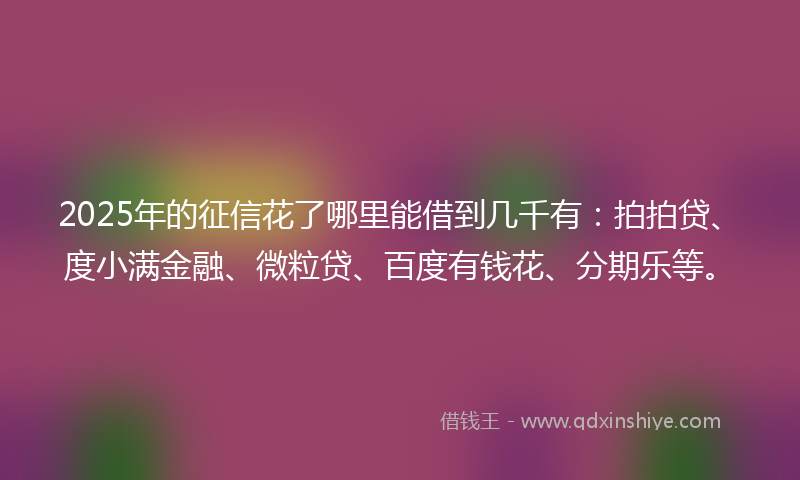 2025年的征信花了哪里能借到几千有：拍拍贷、度小满金融、微粒贷、百度有钱花、分期乐等。