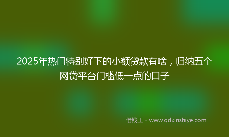 2025年热门特别好下的小额贷款有啥，归纳五个网贷平台门槛低一点的口子