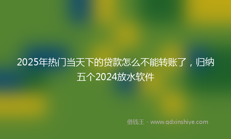 2025年热门当天下的贷款怎么不能转账了，归纳五个2024放水软件