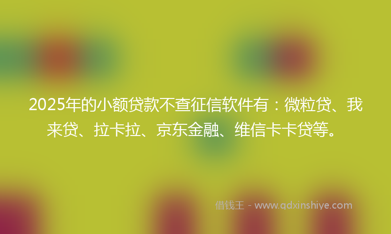 2025年的小额贷款不查征信软件有：微粒贷、我来贷、拉卡拉、京东金融、维信卡卡贷等。