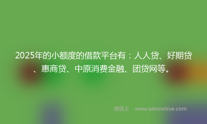 2025年的小额度的借款平台有：人人贷、好期贷、惠商贷、中原消费金融、团贷网等。