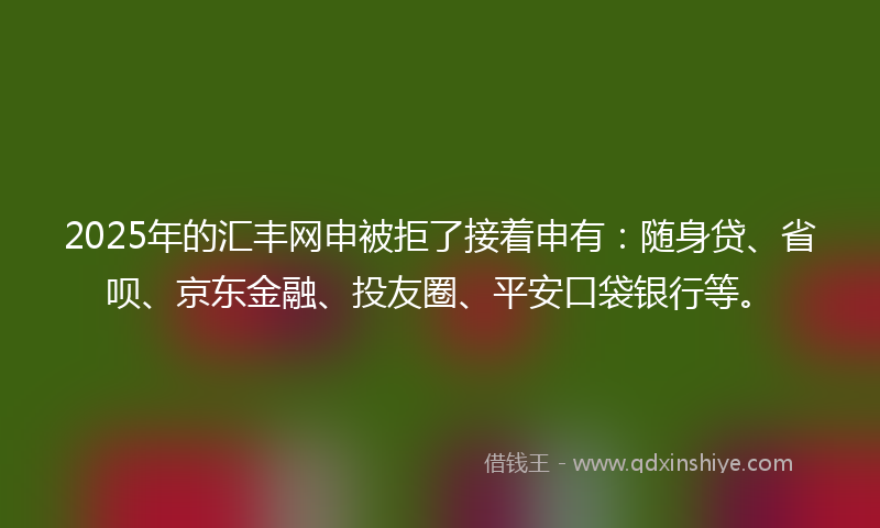 2025年的汇丰网申被拒了接着申有：随身贷、省呗、京东金融、投友圈、平安口袋银行等。
