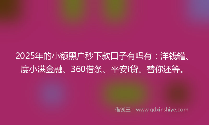 2025年的小额黑户秒下款口子有吗有：洋钱罐、度小满金融、360借条、平安i贷、替你还等。