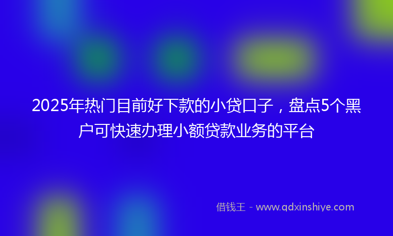 2025年热门目前好下款的小贷口子，盘点5个黑户可快速办理小额贷款业务的平台