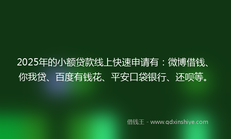 2025年的小额贷款线上快速申请有：微博借钱、你我贷、百度有钱花、平安口袋银行、还呗等。