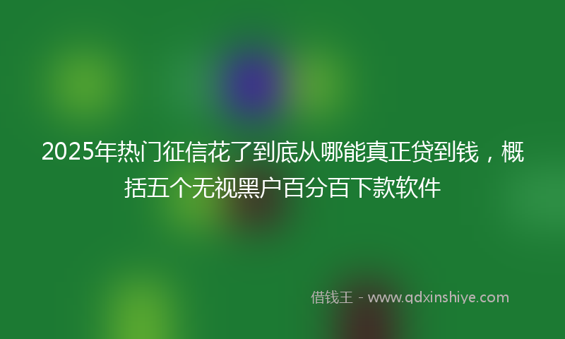 2025年热门征信花了到底从哪能真正贷到钱，概括五个无视黑户百分百下款软件