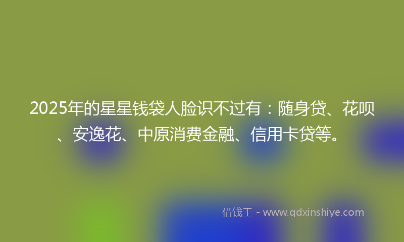 2025年的星星钱袋人脸识不过有：随身贷、花呗、安逸花、中原消费金融、信用卡贷等。