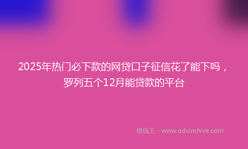2025年热门必下款的网贷口子征信花了能下吗，罗列五个12月能贷款的平台