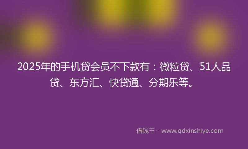 2025年的手机贷会员不下款有：微粒贷、51人品贷、东方汇、快贷通、分期乐等。