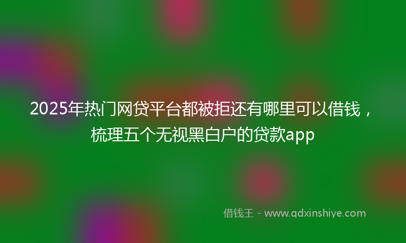 2025年热门网贷平台都被拒还有哪里可以借钱，梳理五个无视黑白户的贷款app