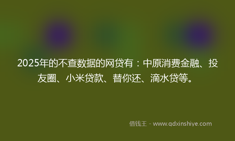 2025年的不查数据的网贷有：中原消费金融、投友圈、小米贷款、替你还、滴水贷等。
