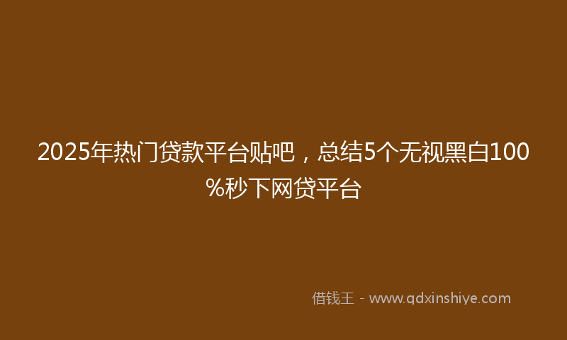 2025年热门贷款平台贴吧，总结5个无视黑白100%秒下网贷平台