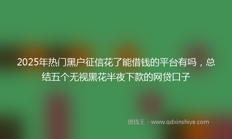 2025年热门黑户征信花了能借钱的平台有吗，总结五个无视黑花半夜下款的网贷口子