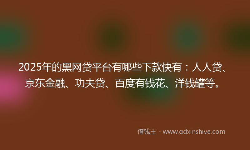 2025年的黑网贷平台有哪些下款快有：人人贷、京东金融、功夫贷、百度有钱花、洋钱罐等。