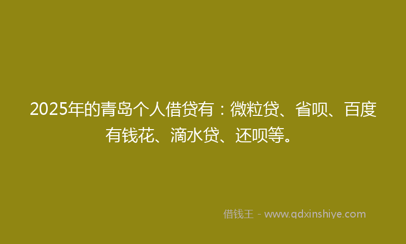 2025年的青岛个人借贷有:微粒贷、省呗、百度有钱花、滴水贷、还呗等。