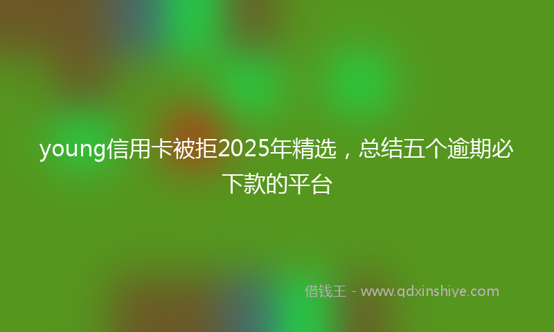 young信用卡被拒2025年精选，总结五个逾期必下款的平台