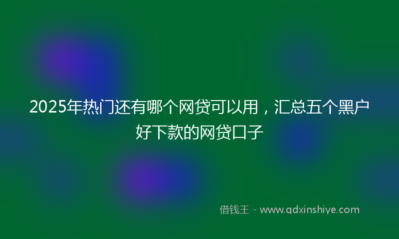 2025年热门还有哪个网贷可以用，汇总五个黑户好下款的网贷口子