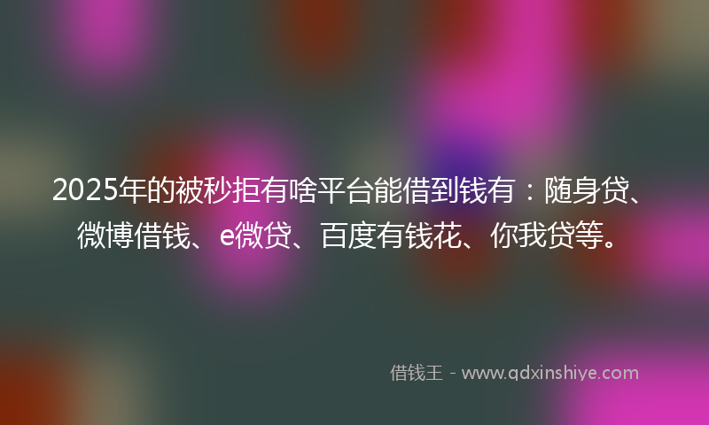 2025年的被秒拒有啥平台能借到钱有：随身贷、微博借钱、e微贷、百度有钱花、你我贷等。