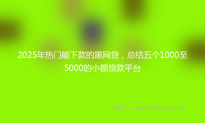 2025年热门能下款的黑网贷，总结五个1000至5000的小额贷款平台