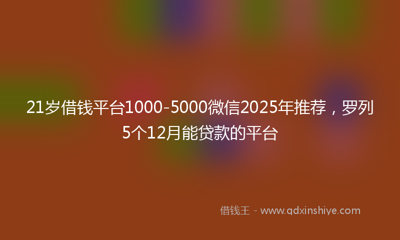 21岁借钱平台1000-5000微信2025年推荐,罗列5个12月能贷款的平台