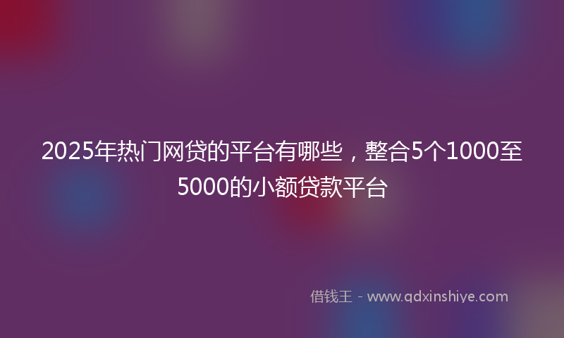 2025年热门网贷的平台有哪些，整合5个1000至5000的小额贷款平台