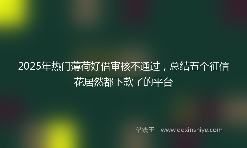 2025年热门薄荷好借审核不通过，总结五个征信花居然都下款了的平台