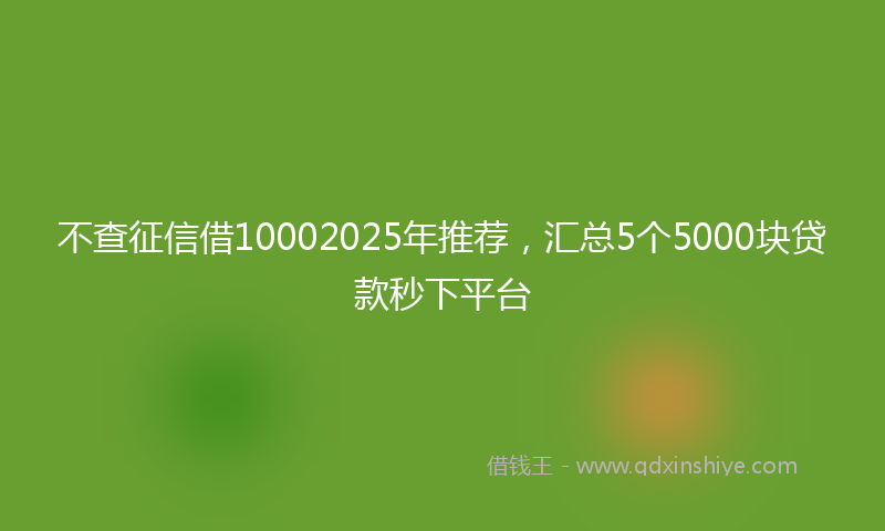 不查征信借10002025年推荐，汇总5个5000块贷款秒下平台