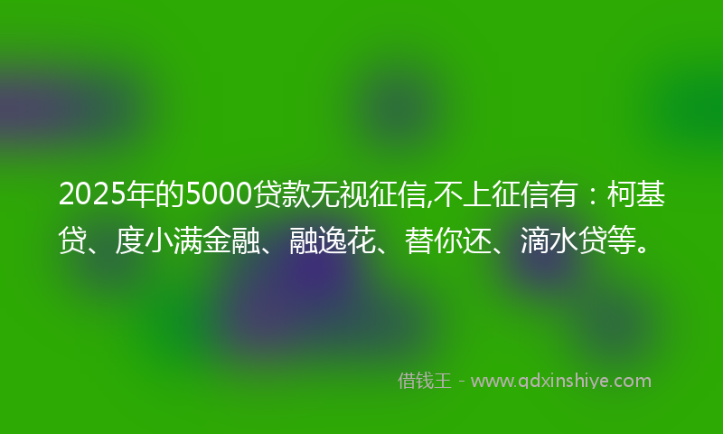 2025年的5000贷款无视征信,不上征信有:柯基贷、度小满金融、融逸花、替你还、滴水贷等。