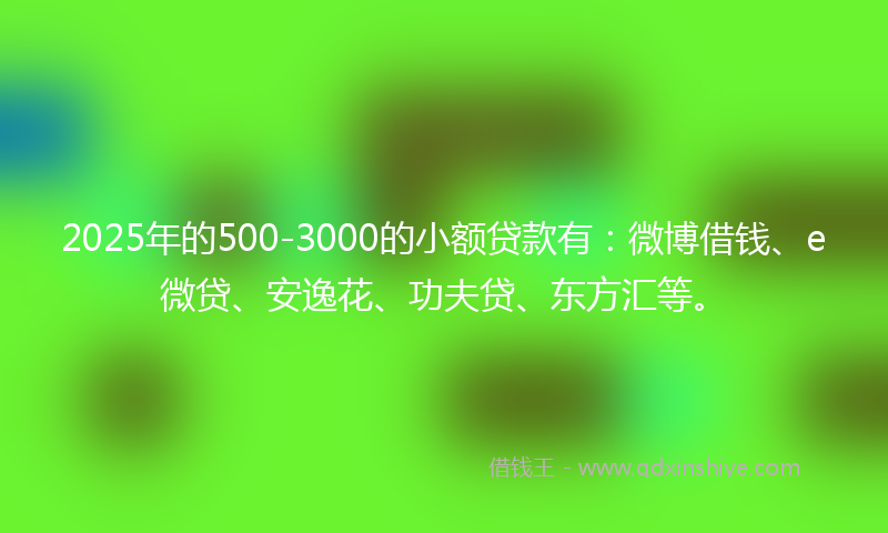 2025年的500-3000的小额贷款有：微博借钱、e微贷、安逸花、功夫贷、东方汇等。