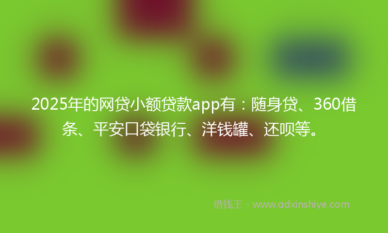 2025年的网贷小额贷款app有：随身贷、360借条、平安口袋银行、洋钱罐、还呗等。