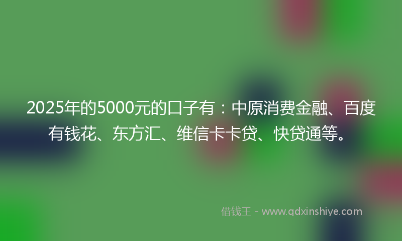 2025年的5000元的口子有：中原消费金融、百度有钱花、东方汇、维信卡卡贷、快贷通等。
