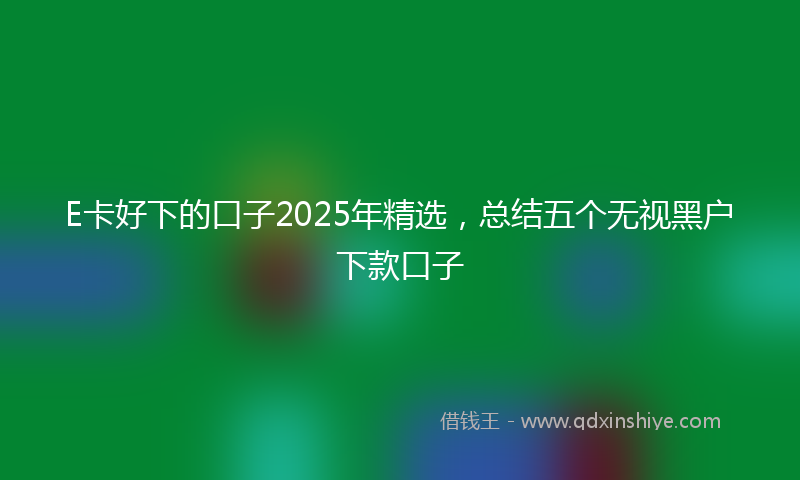 E卡好下的口子2025年精选，总结五个无视黑户下款口子