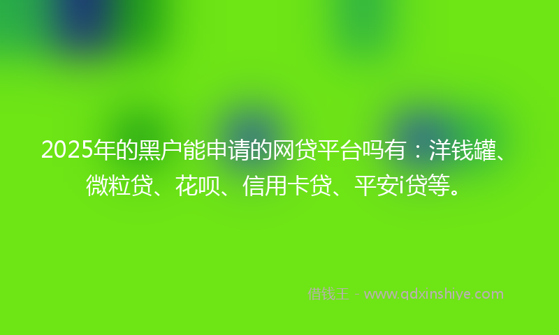 2025年的黑户能申请的网贷平台吗有：洋钱罐、微粒贷、花呗、信用卡贷、平安i贷等。