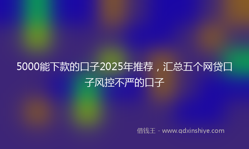 5000能下款的口子2025年推荐，汇总五个网贷口子风控不严的口子