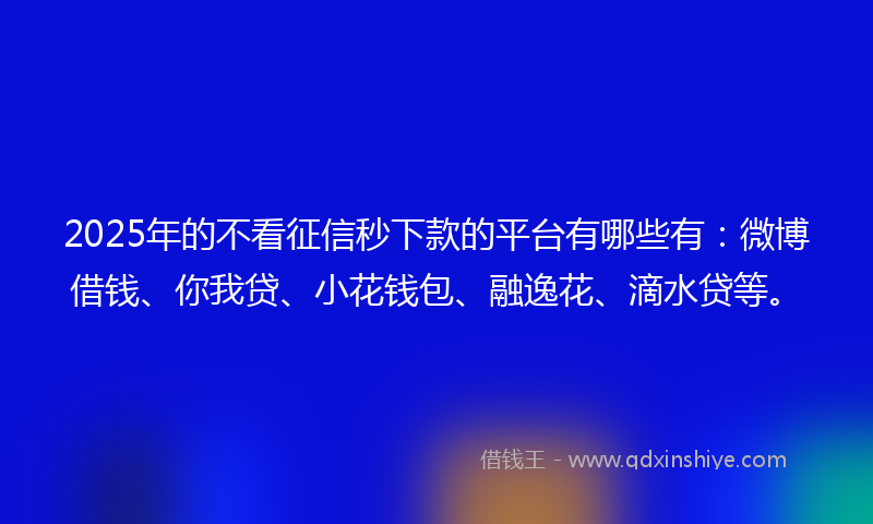 2025年的不看征信秒下款的平台有哪些有：微博借钱、你我贷、小花钱包、融逸花、滴水贷等。