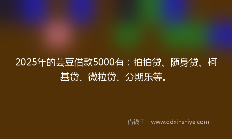 2025年的芸豆借款5000有：拍拍贷、随身贷、柯基贷、微粒贷、分期乐等。