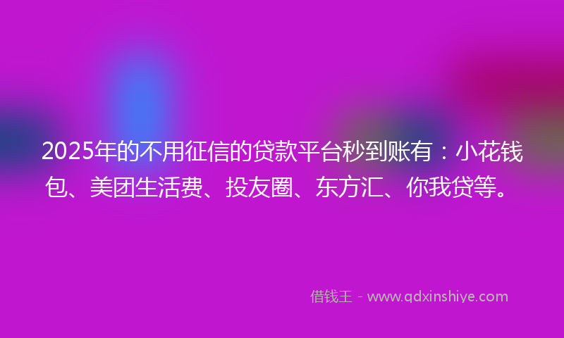 2025年的不用征信的贷款平台秒到账有：小花钱包、美团生活费、投友圈、东方汇、你我贷等。