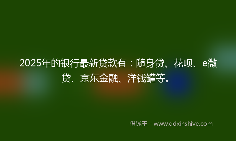 2025年的银行最新贷款有：随身贷、花呗、e微贷、京东金融、洋钱罐等。
