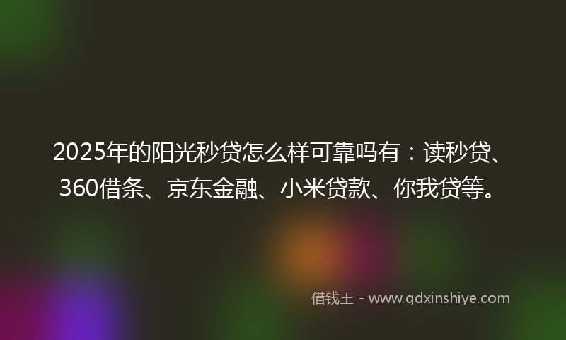 2025年的阳光秒贷怎么样可靠吗有:读秒贷、360借条、京东金融、小米贷款、你我贷等。