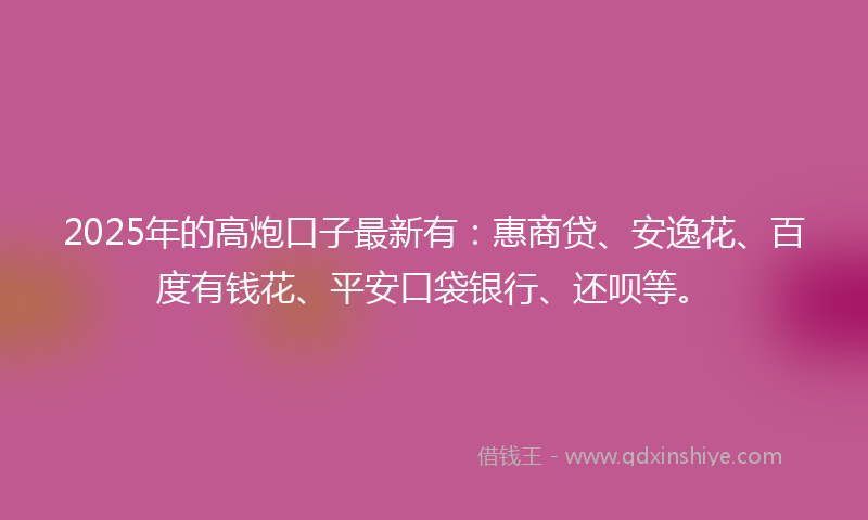 2025年的高炮口子最新有：惠商贷、安逸花、百度有钱花、平安口袋银行、还呗等。