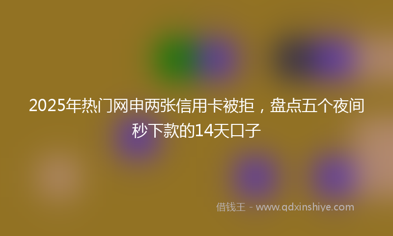 2025年热门网申两张信用卡被拒，盘点五个夜间秒下款的14天口子