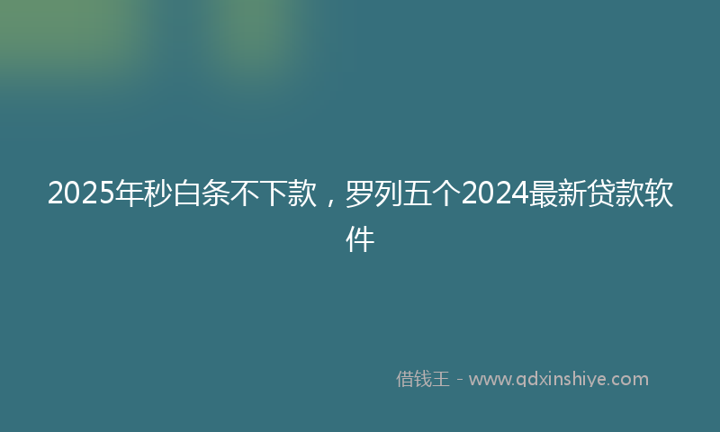 2025年秒白条不下款,罗列五个2024最新贷款软件