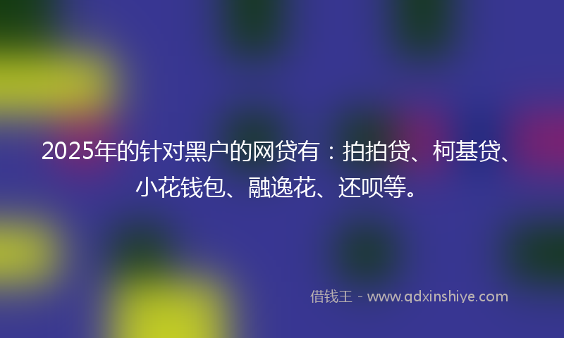 2025年的针对黑户的网贷有：拍拍贷、柯基贷、小花钱包、融逸花、还呗等。