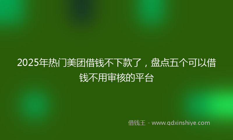 2025年热门美团借钱不下款了，盘点五个可以借钱不用审核的平台