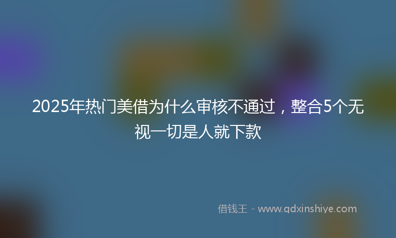 2025年热门美借为什么审核不通过,整合5个无视一切是人就下款